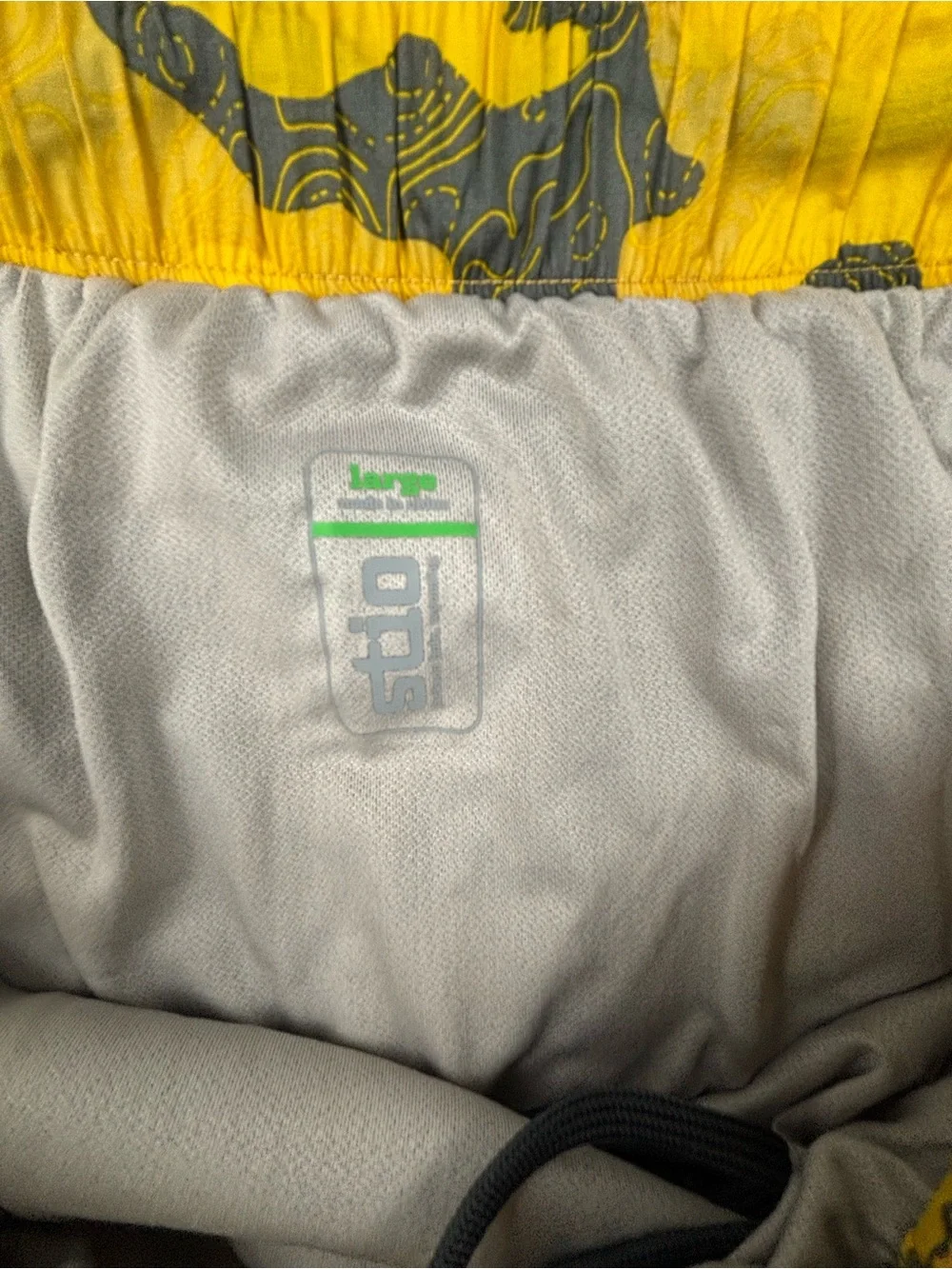 Stio | Second Light Shorts |